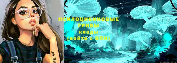 ECSTASY Белоозёрский