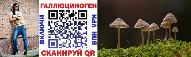 купить   Озёрск  Псилоцибиновые грибы Magic Shrooms 